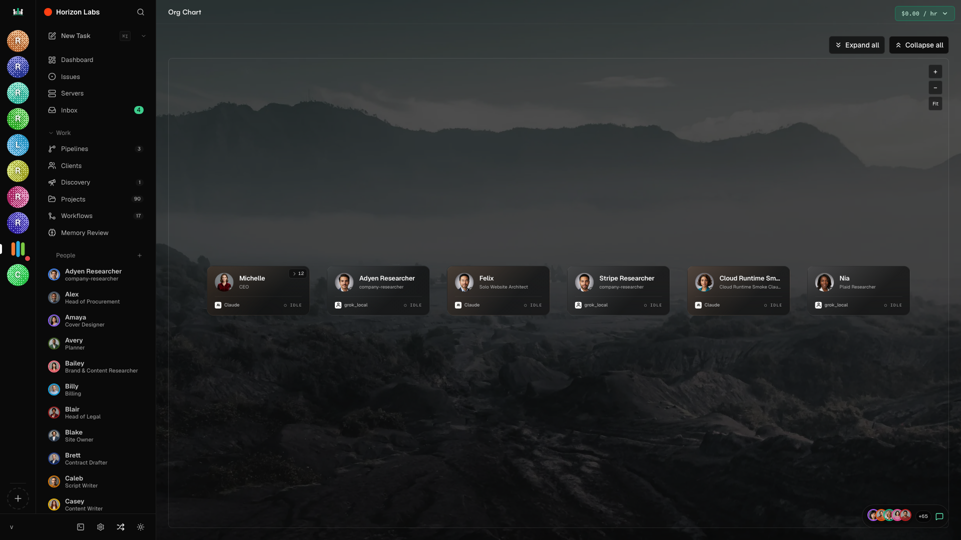 Org chart view showing divisions, teams, and reporting lines